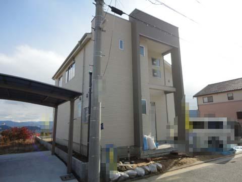 Local appearance photo. November 29, shooting