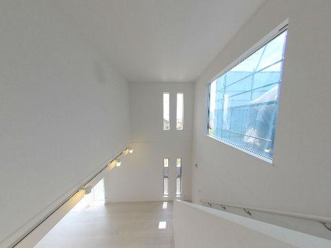 Other introspection. Blow-by