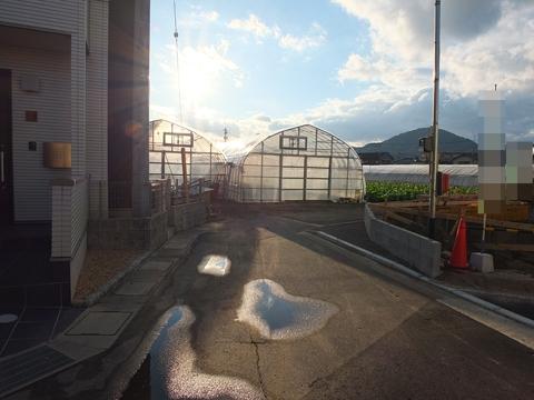 Local photos, including front road