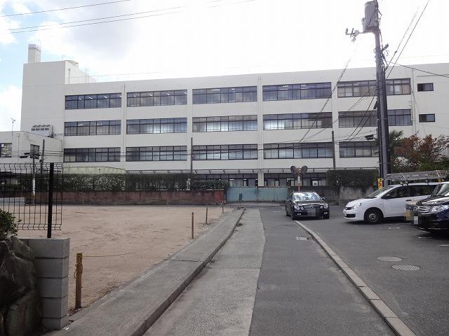 Local photos, including front road. Local 2013.10.5 shooting