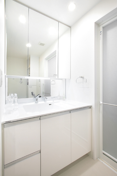 Beautiful and functional sanitary space