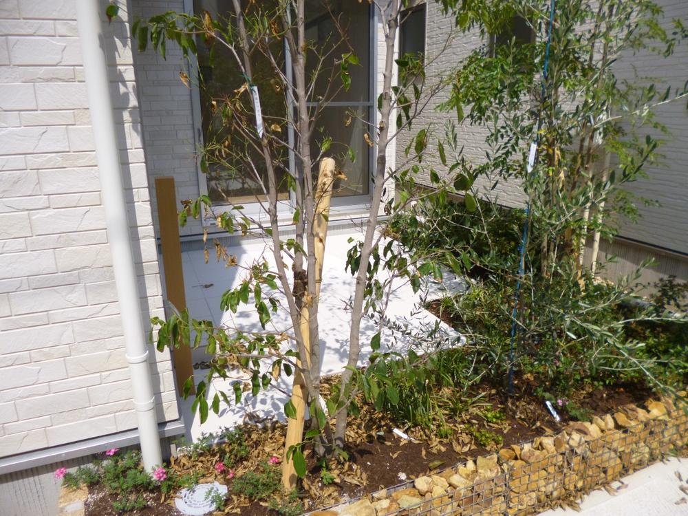 Garden. (July 2013) Shooting