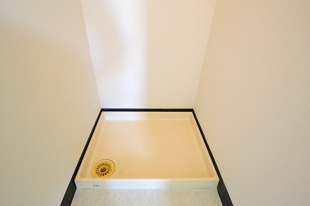 Other.  ☆ Is Indoor Laundry Area ☆