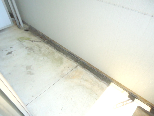 Balcony. Also Jose firm futon!