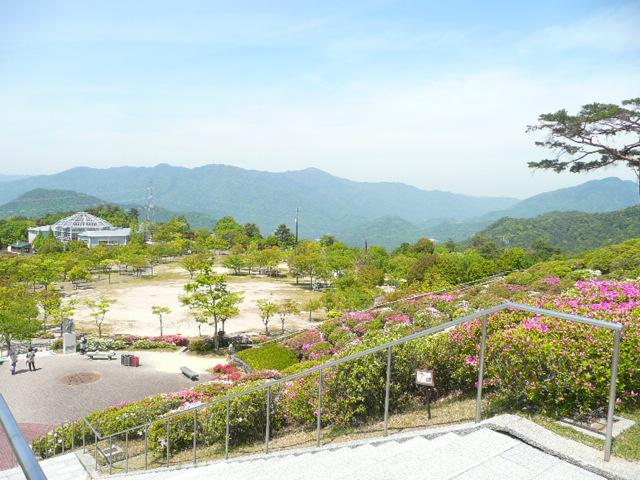 park. Do not play big time with children and Forest Park is a rest of the day?