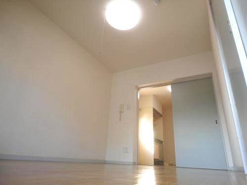 Living and room. Charm of this property is the breadth!