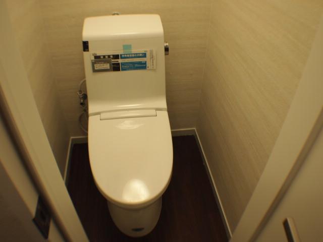 Toilet. Indoor (September 2013) Shooting