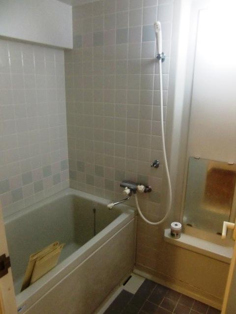 Bathroom. Indoor (11 May 2013) Shooting
