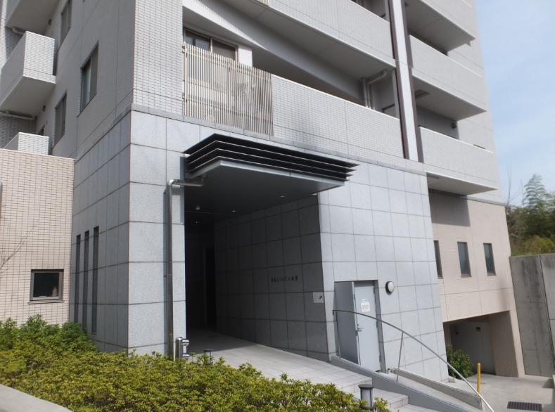 Entrance. Common areas