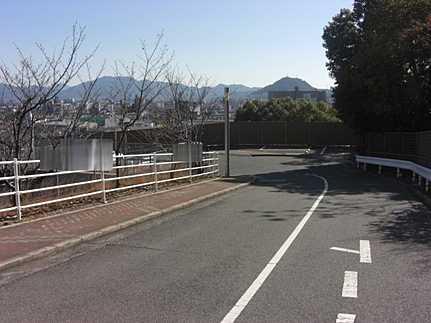 Other local