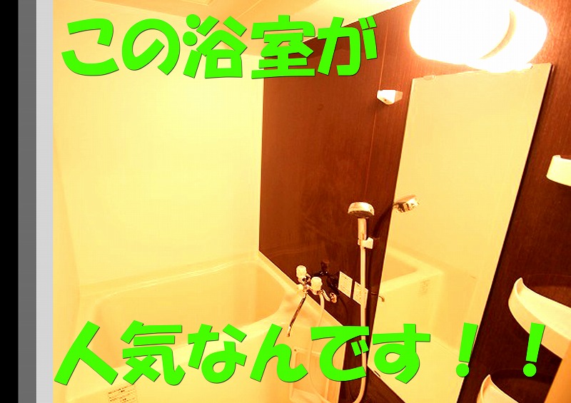 Bath. Fashionable in the large bathroom