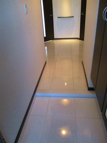 Entrance. Marble paste of entrance (reference image)