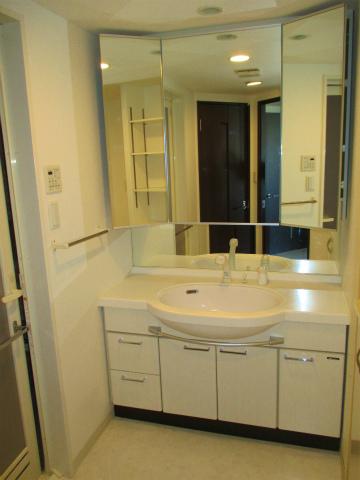 Wash basin, toilet. Large vanity (reference image)