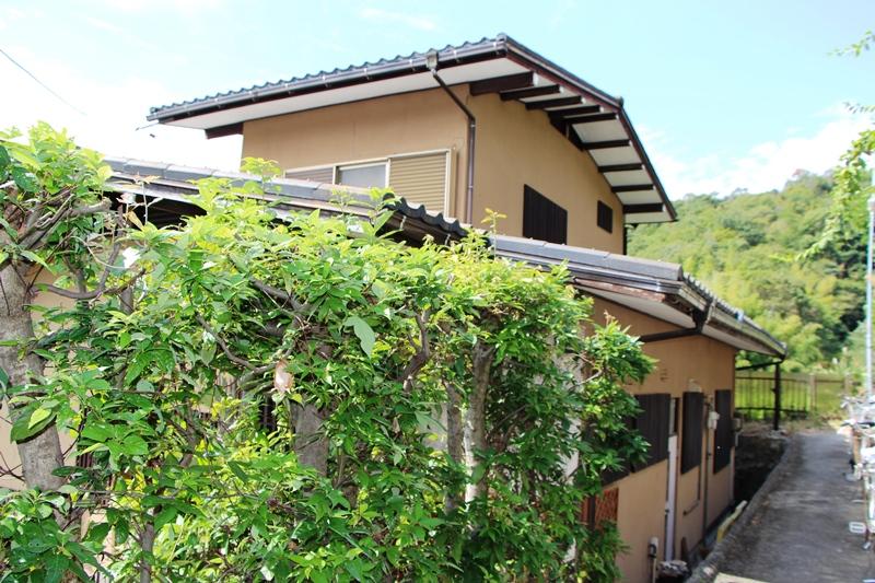 Local appearance photo. Local (September 2013) Shooting