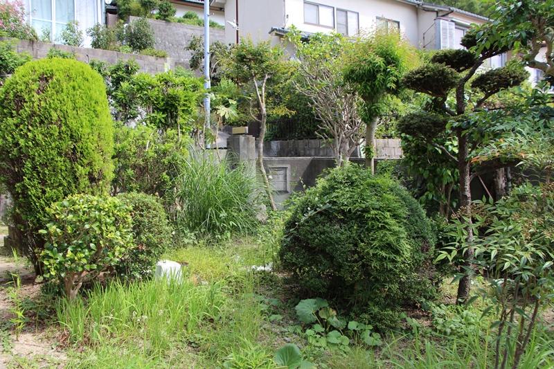 Garden. Local (September 2013) Shooting