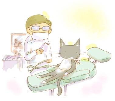 Hospital. Kato dental ・ 448m until Orthodontics (hospital)