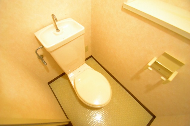 Toilet. ☆ It is a restroom space ☆