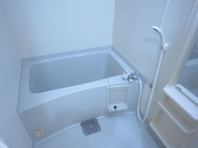 Bath. Spacious bathroom