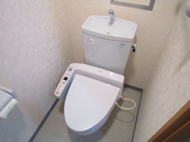 Toilet. Bathroom with a shower