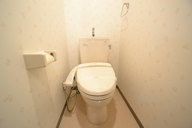 Toilet. ☆ It is a restroom with a bidet ☆