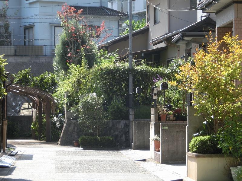 Local photos, including front road. Local (10 May 2013) Shooting