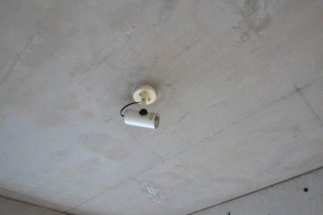 Other. ☆ I like the spotlight ☆