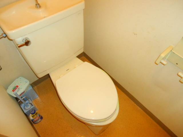 Toilet. Toilets are of course Western-style