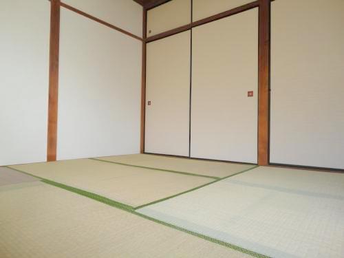 Living and room. Living