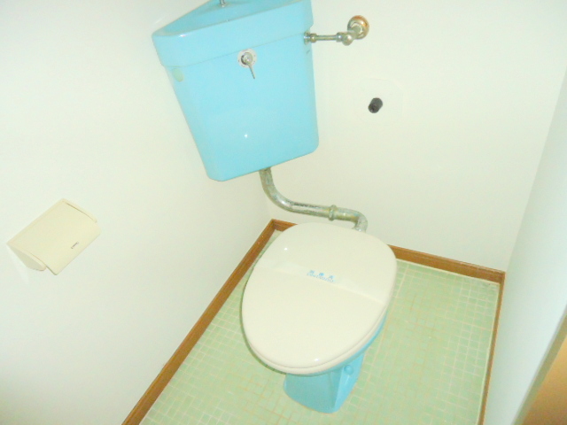 Toilet. Western-style toilet
