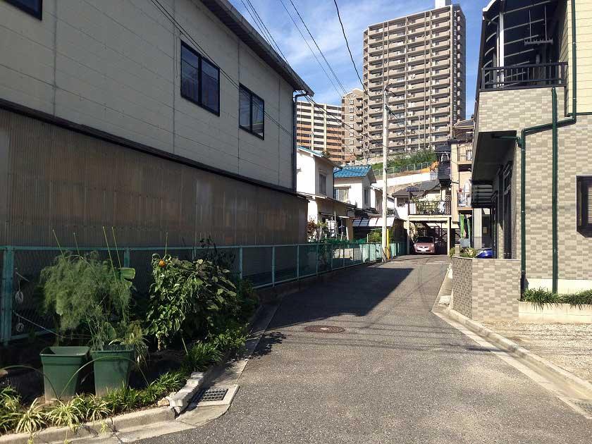 Local photos, including front road