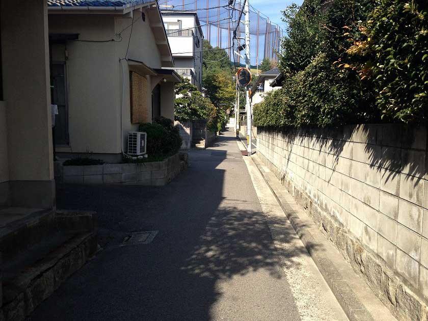 Local photos, including front road