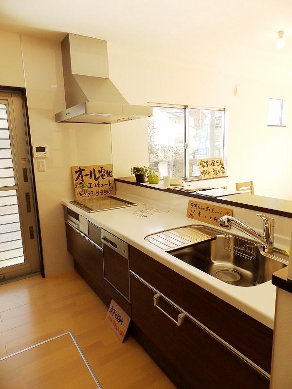 Kitchen. Dishwasher with IH system kitchen