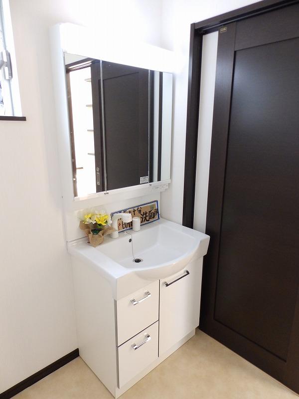 Wash basin, toilet. Bright basin