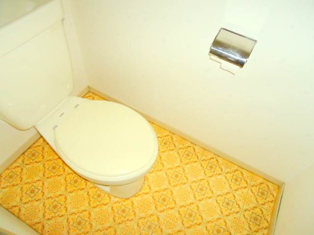 Toilet. Of course, it is Western-style