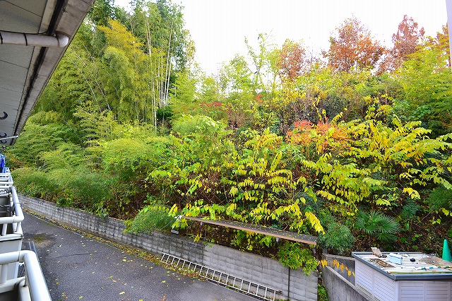 View.  ☆ Is the view from the balcony ☆