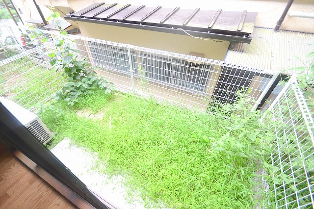 Garden. Private garden ☆