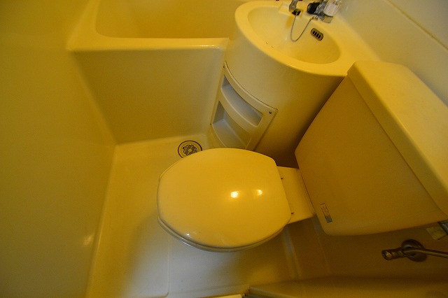 Toilet. ☆ It is a restroom space ☆