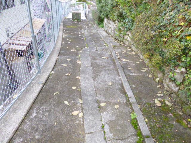 Local photos, including front road. Local (11 May 2013) Shooting