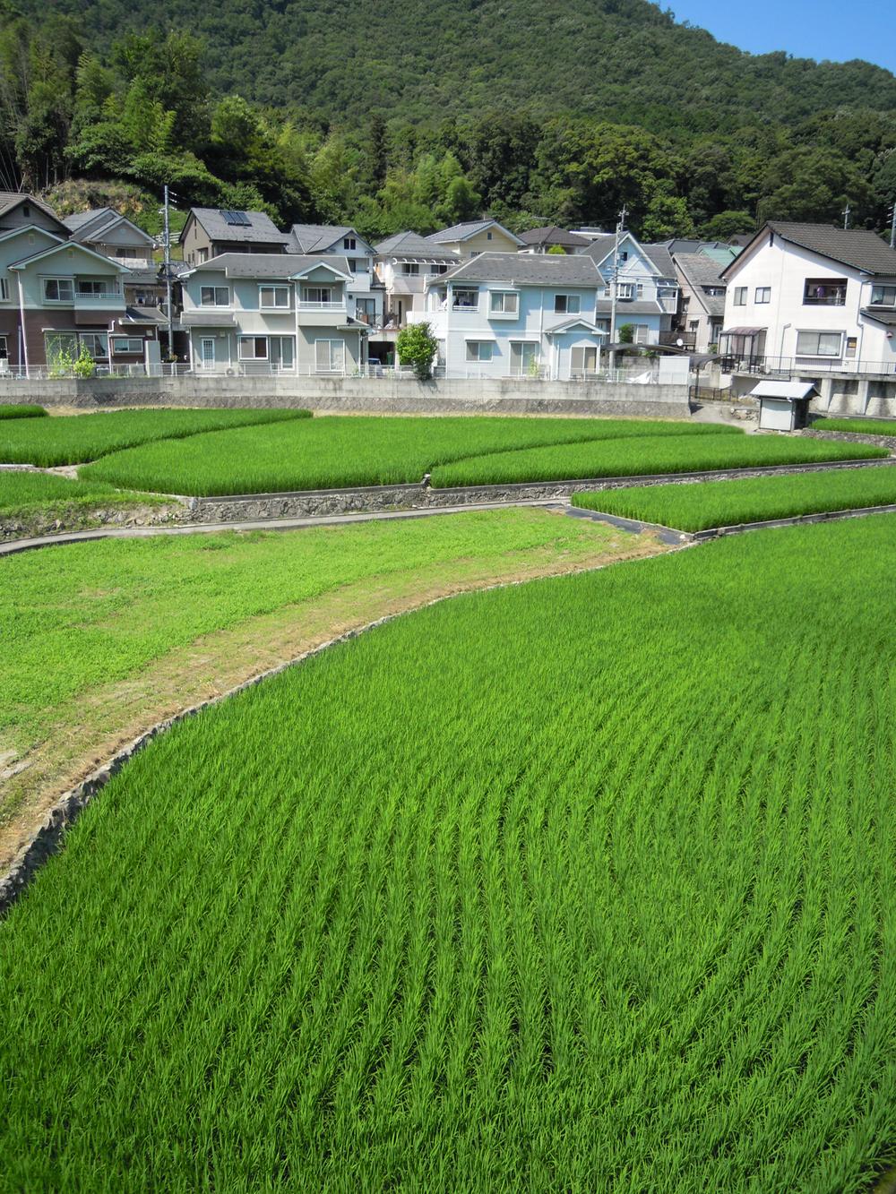 View photos from the dwelling unit. Local (July 2013) Shooting
