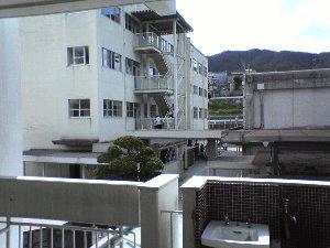 Primary school. 1058m to Hiroshima City Museum of yellow from Garcinia spicata Hook Elementary School
