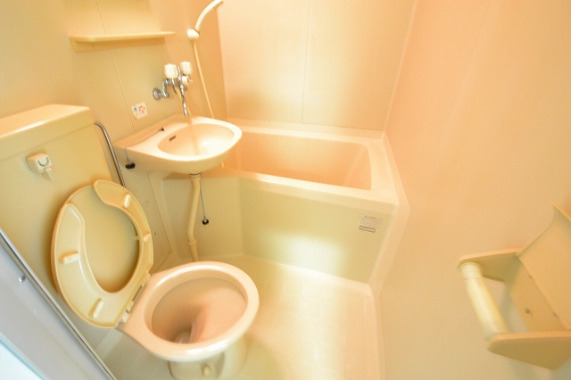 Toilet. ☆ It is a restroom space ☆