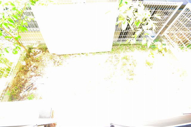 Balcony. ☆ Use a variety ☆