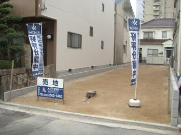 Local photos, including front road. Current Status landscape