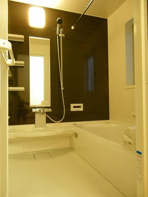 Bathroom. Indoor (12 May 2013) Shooting