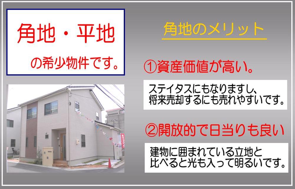 Local appearance photo. Rare corner lot. 