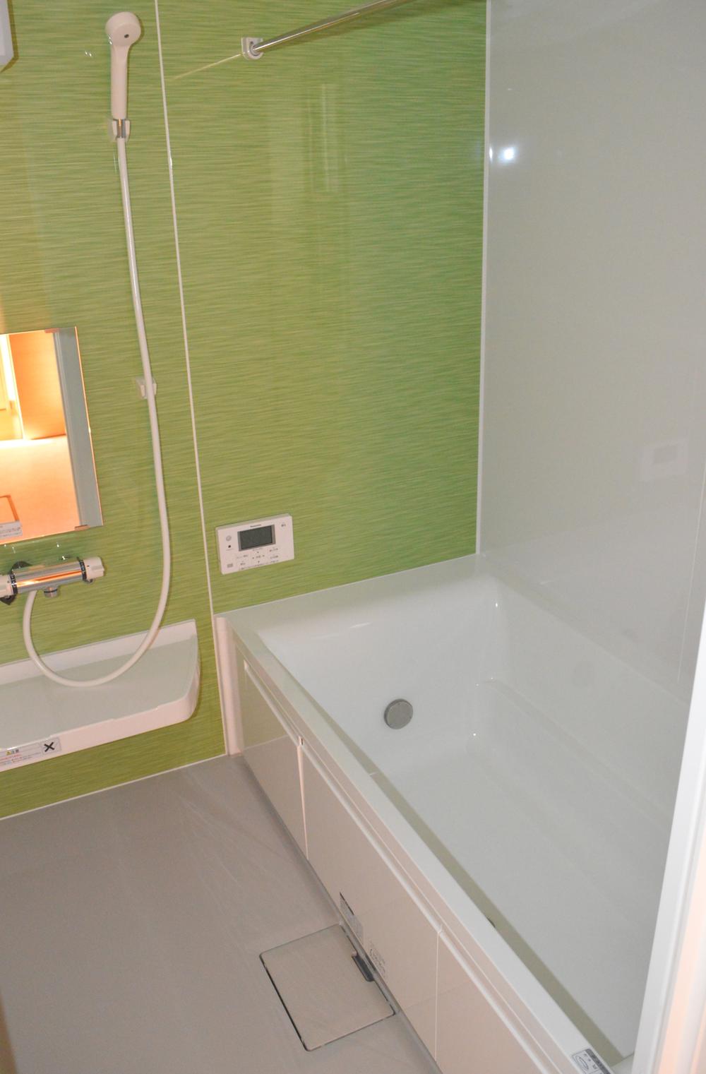 Bathroom. Indoor (12 May 2013) Shooting