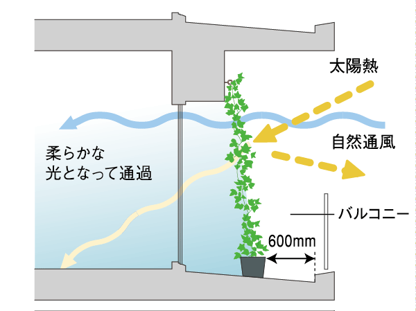 balcony ・ terrace ・ Private garden.  [Greening measures on the wall of the balcony] Reduce the room temperature rise in summer, Installing a mounting bracket for the greening to the main balcony as wall greening measures are also effective in utility costs reduce. Screw the commercial hook (eyebolt), If multiplied by the net, Morning glory, You can decorate a wall in the vine plants such as kiwi. (Conceptual diagram)