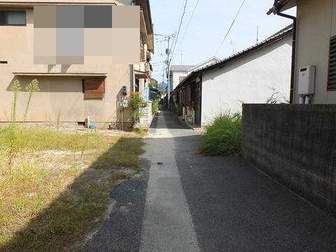 Local photos, including front road