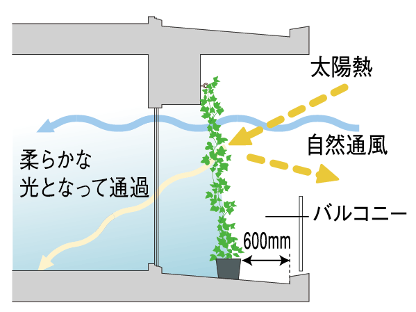 balcony ・ terrace ・ Private garden.  [Greening measures on the wall of the balcony] Reduce the room temperature rise in summer, Installing a mounting bracket for the greening to the main balcony as wall greening measures are also effective in utility costs reduce. Screw the commercial hook (eyebolt), If multiplied by the net, Morning glory, You can decorate a wall in the vine plants such as kiwi. (Conceptual diagram)