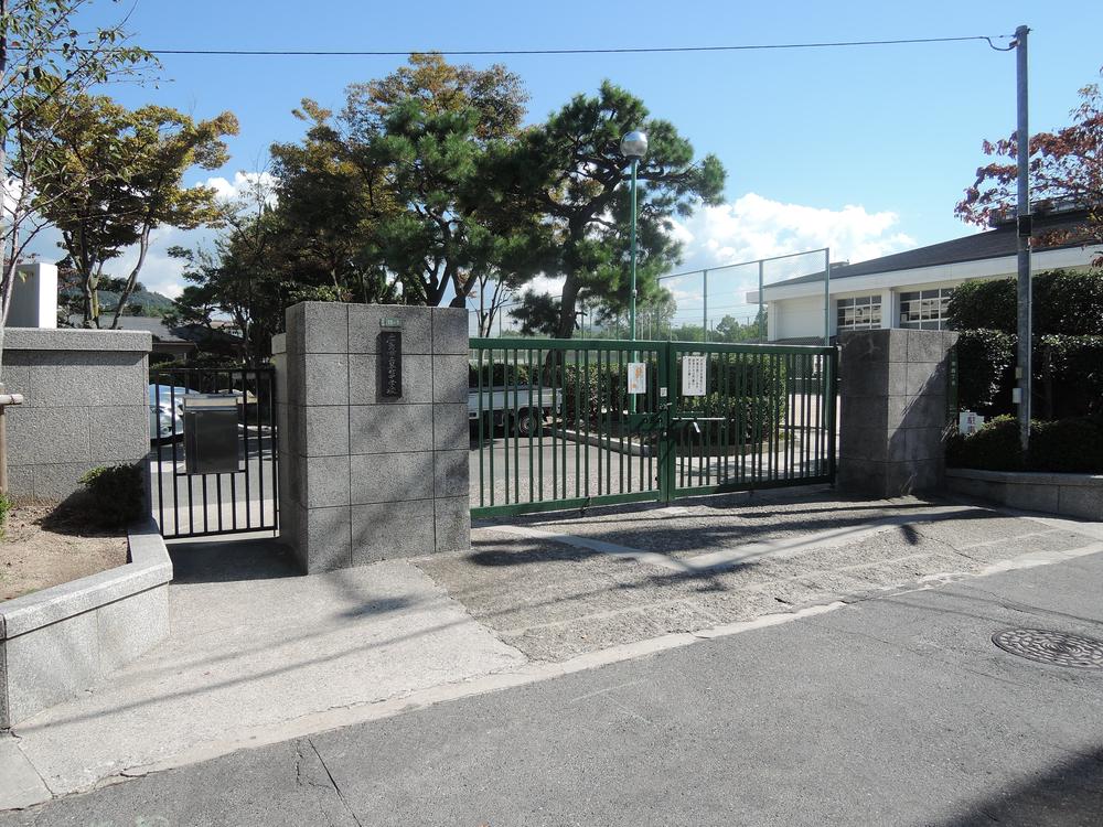 Junior high school. Midori 850m until junior high school